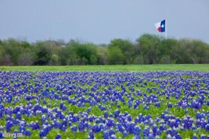 1914760_1039644629440479_8939280239915570685_n